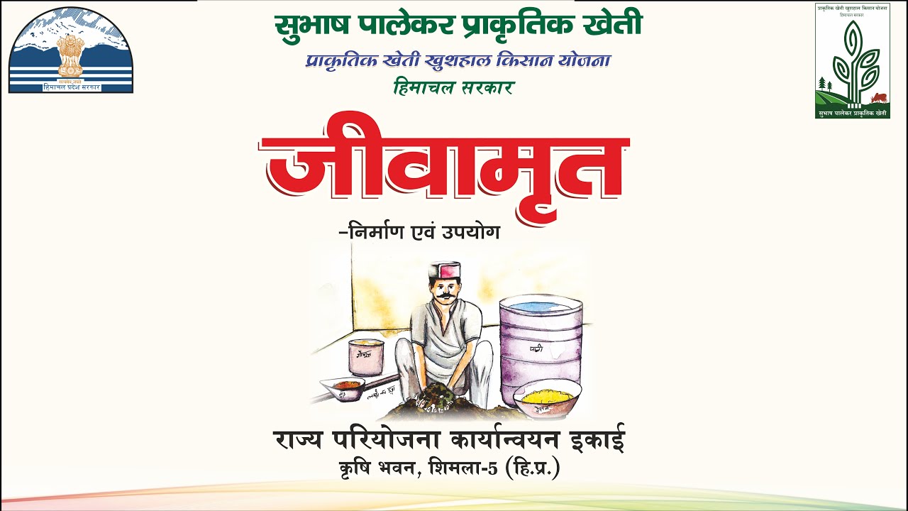 जीवामृत का निर्माण सीखे सुभाष पालेकर द्वारा | Make Jivamrit at Home with  Subhash Palekar SPNF,ZBNF