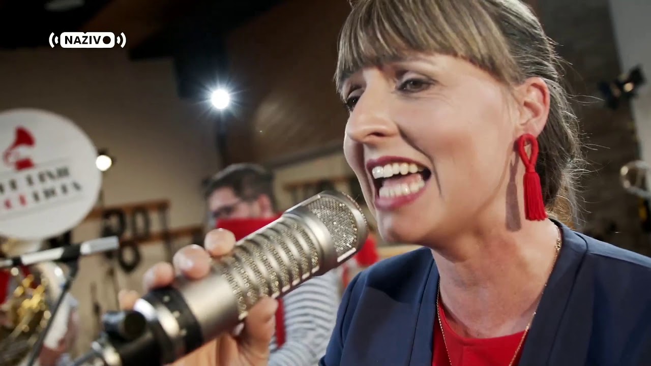 The Dixie Hot Licks NAživo z ExAviku - Yes Sir That´s My Baby