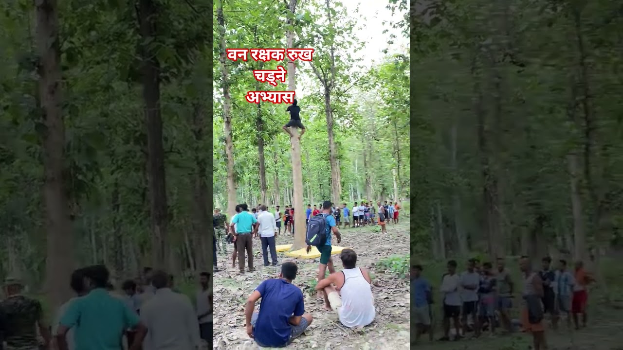#forestguardexam #forestguard #banrakshak #vanrakshakphysicaldate #treeclimbing