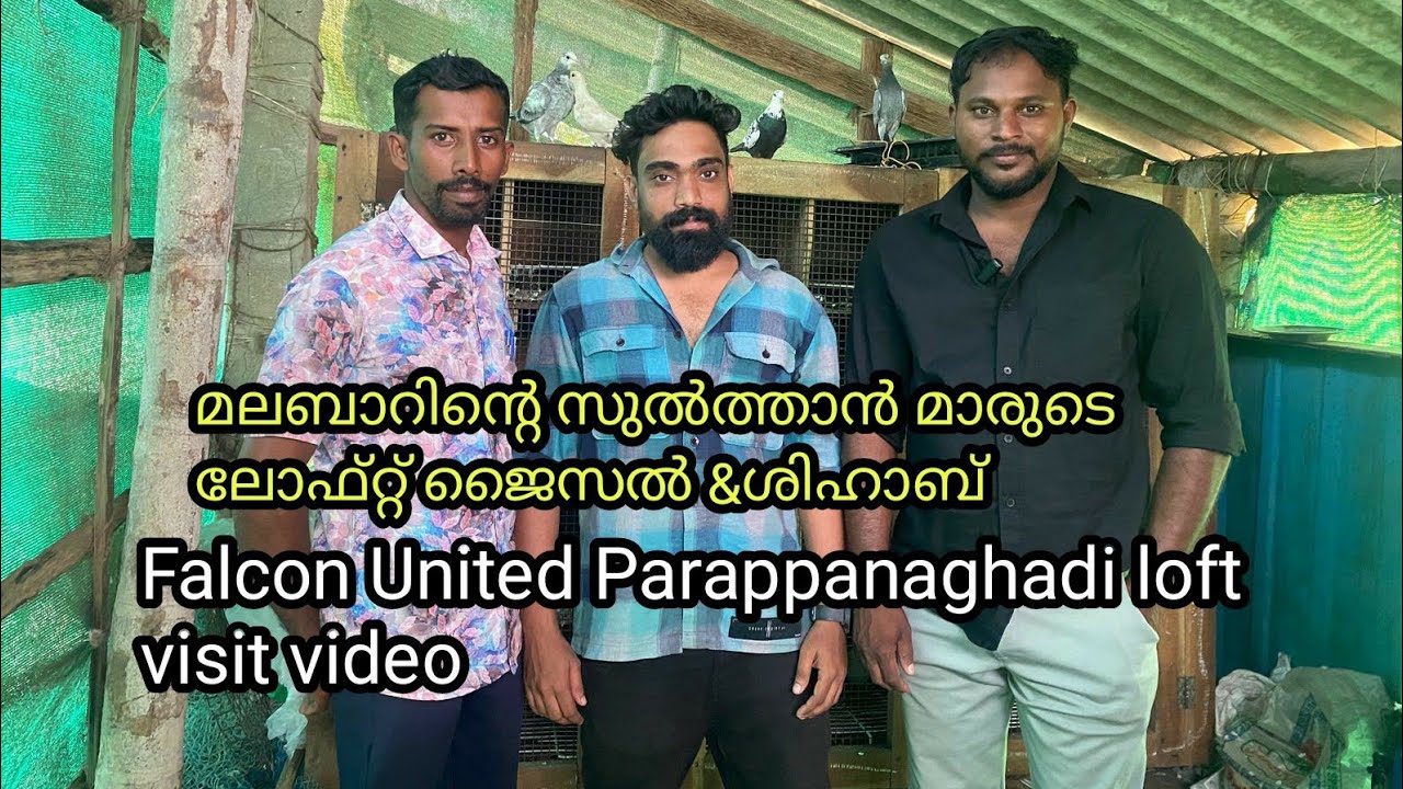 Falcon United Parappanagadi/മലബാറിന്റെ സുൽത്താൻ മാരുടെ കൂട്/ Haifa pigeons