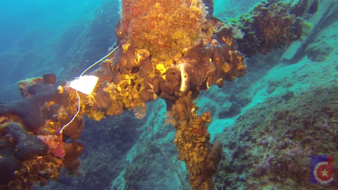 Ep.111, Lumbarda shallows, Croatia, Fifteen Minutes Dive Shorts (DR)