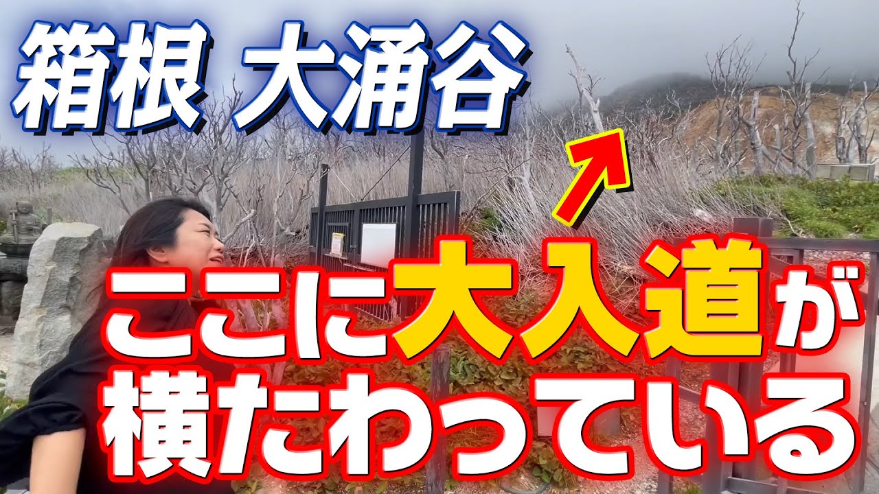 【大涌谷】大入道に逢いに行ってきた