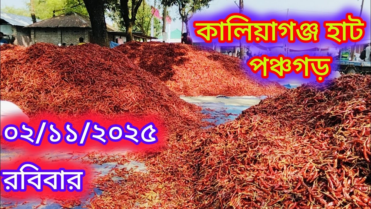 ০২/১১/২০২৫, কালিয়াগঞ্জ হাট পঞ্চগড়। 