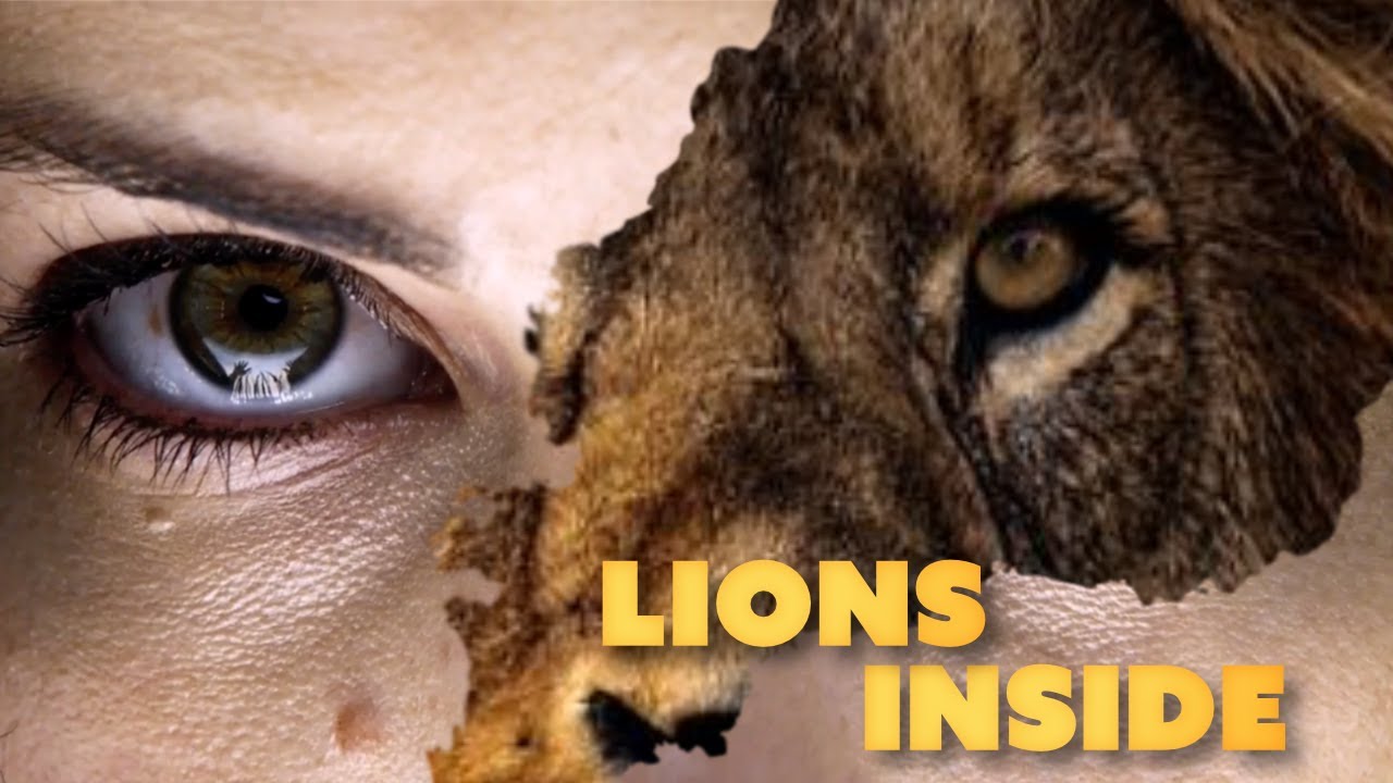 Lions Inside - Blindspot