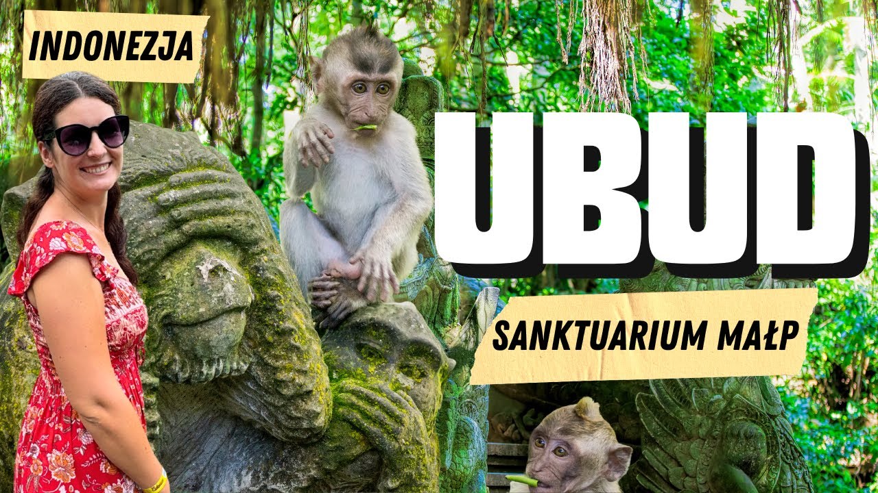 Bali: Monkey Forest Ubud &ndash; bilety, małpy i porady