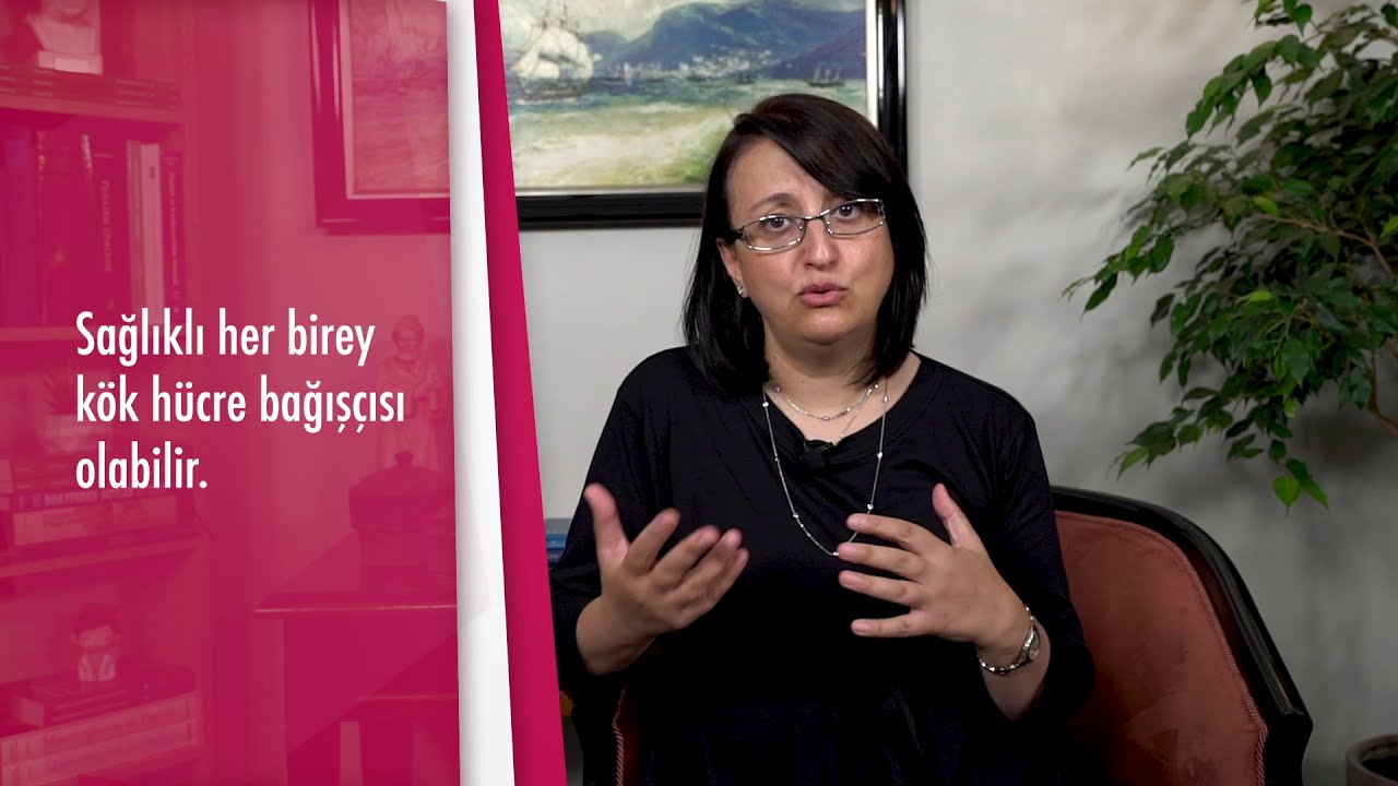 Kemik iliği (kök hücre) nakli için kimler donör olabilir? - Prof. Dr. Betül Tavil