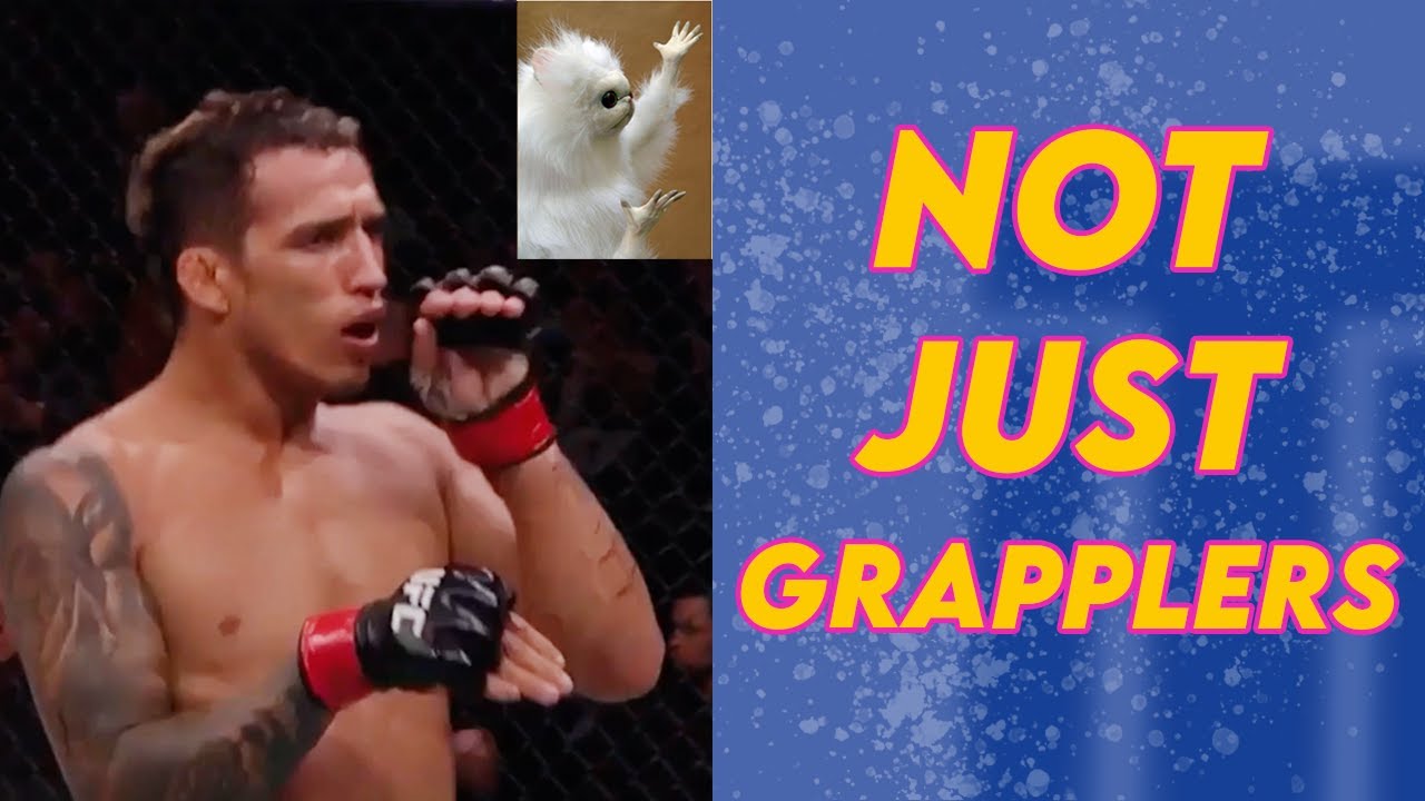 BJJ Black Belts Who Turned Into GREAT STRIKERS