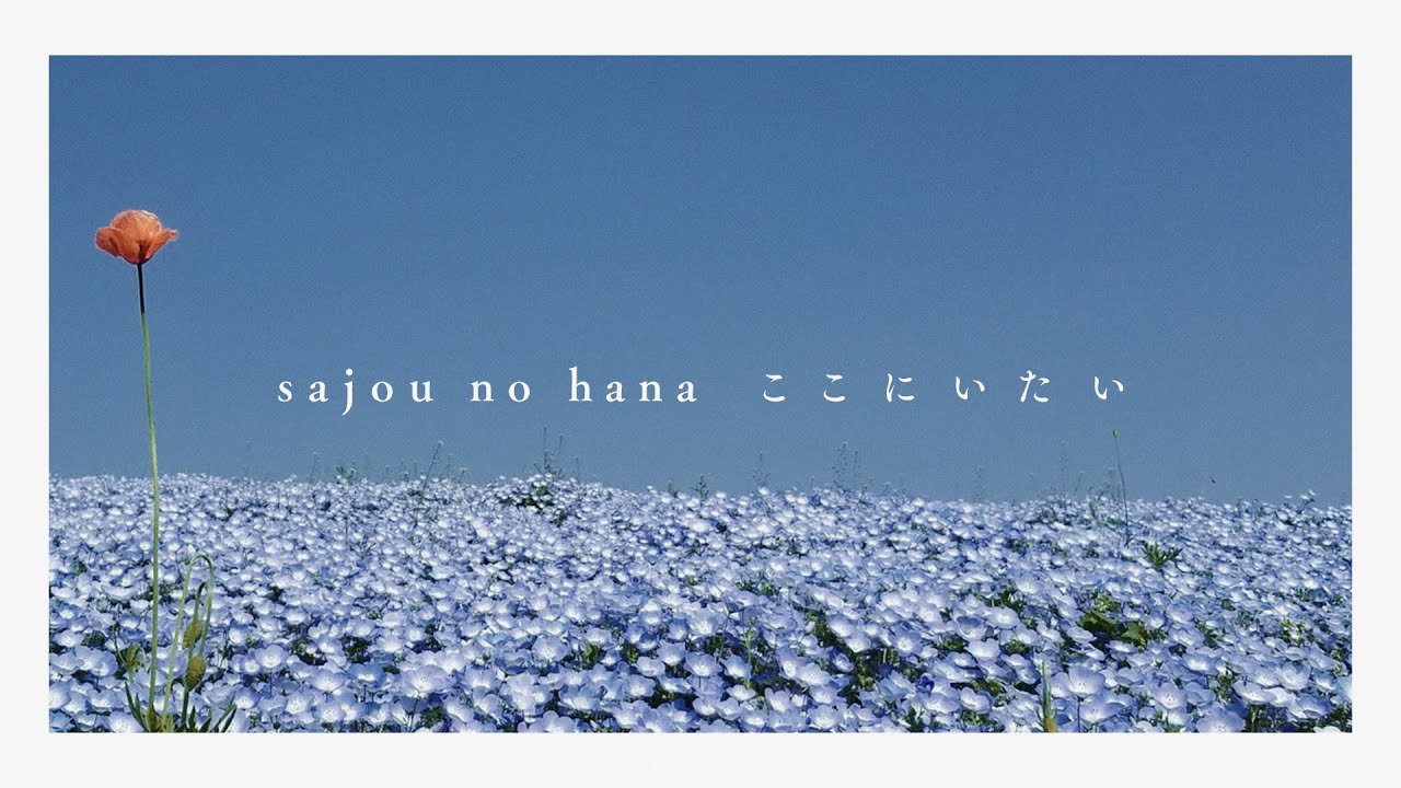 【sajou no hana】ここにいたい （Music Video / スマートフォン視聴推奨）