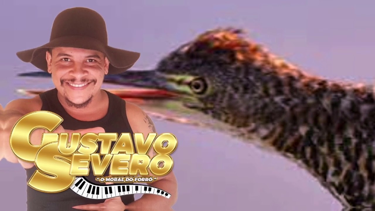 SOC&Oacute;🐦