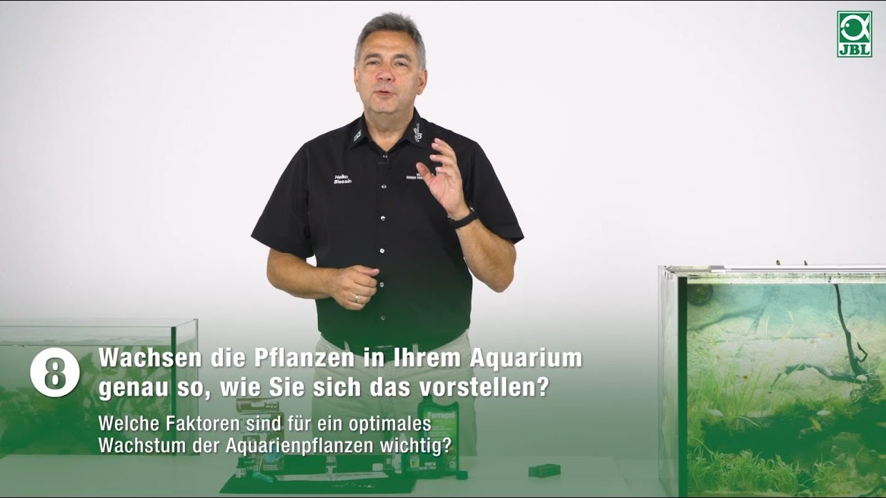 JBL TV #8: Wachsen die Pflanzen in Ihrem Aquarium genau so, wie Sie sich das vorstellen?