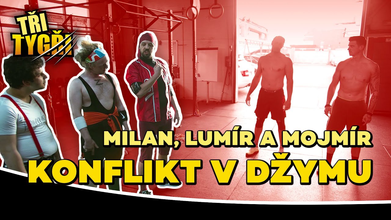 TŘI TYGŘI | Milan, Lum&iacute;r a Mojm&iacute;r &ndash; konflikt v džymu