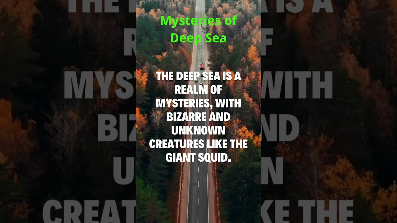 Nature's Echoes