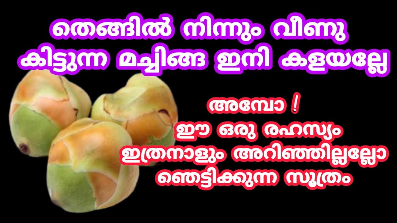 അമ്പോ മച്ചിങ്ങ കൊണ്ട് ഇങ്ങനെ ഒരു രഹസ്യം ഇത്രനാളും അറിയാതെ പോയല്ലോ |kitchen tips