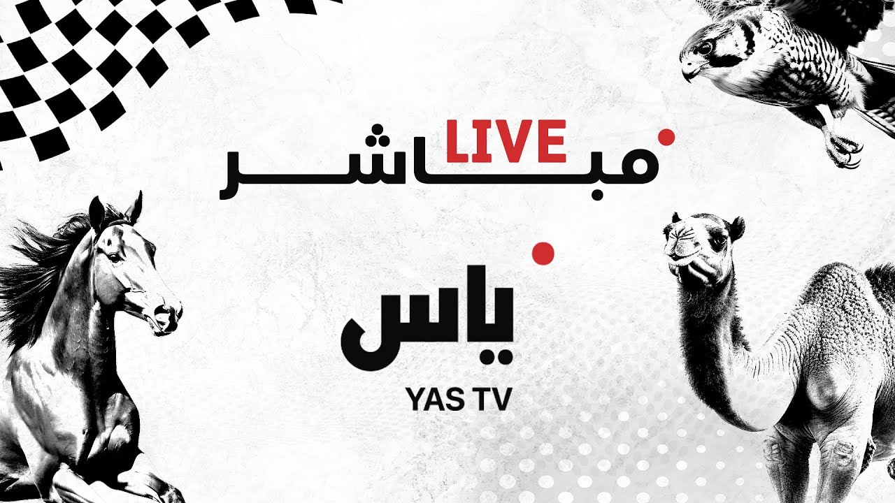 مباشر| برنامج الحضيرة