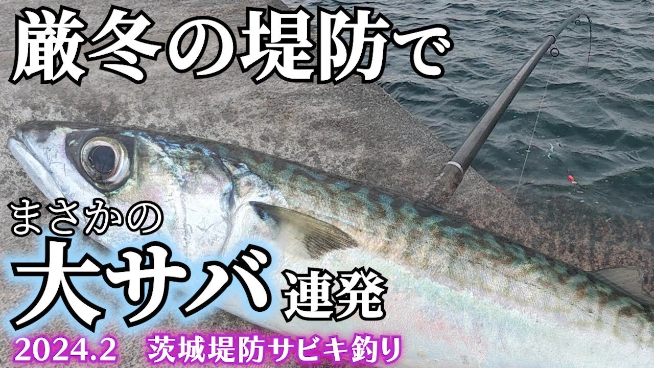 大サバ連発！冬の堤防サビキでまさかの釣果　【茨城釣り】