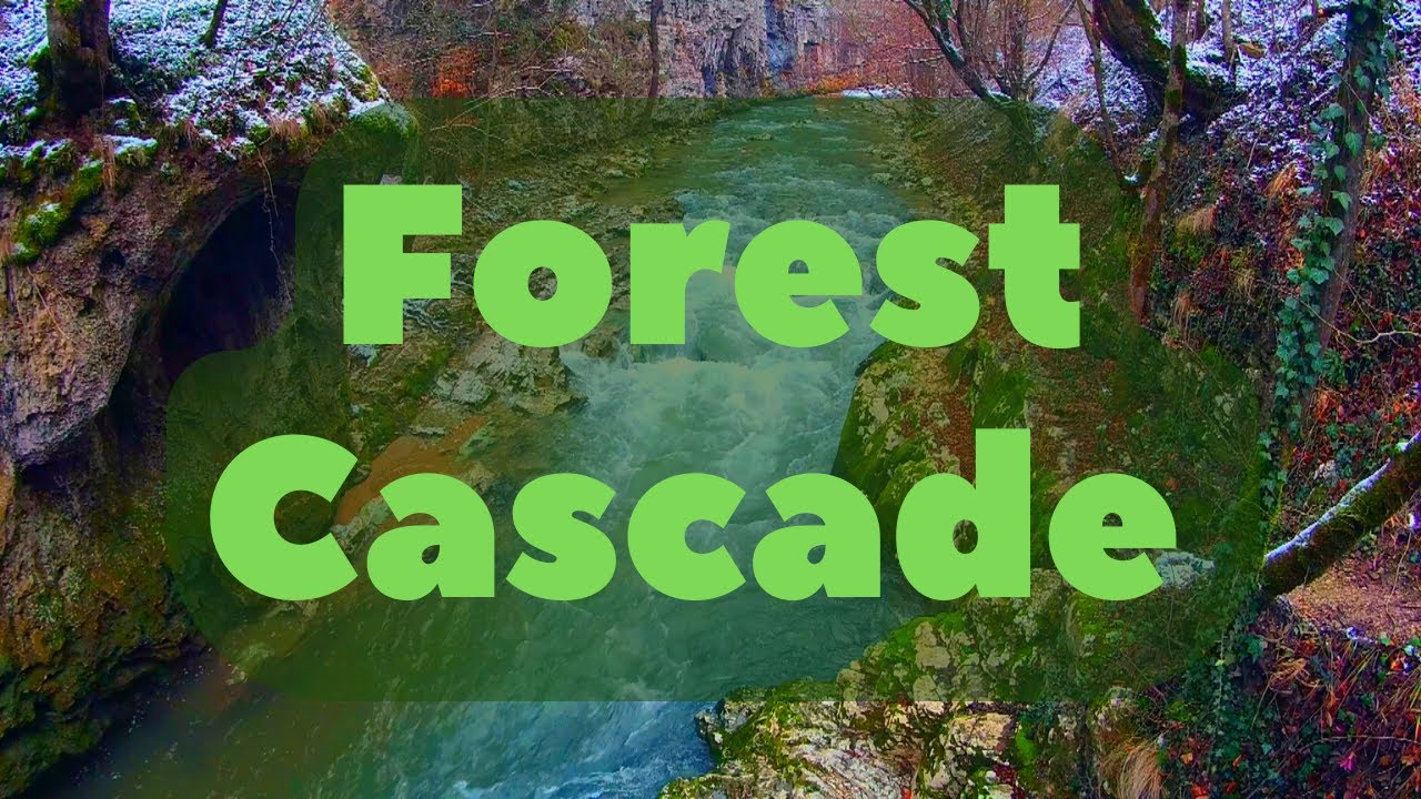 Forest Cascade music for meditation & White Noise