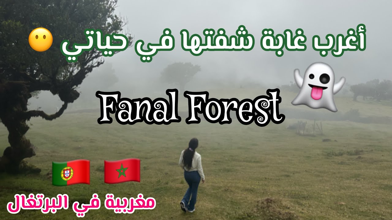 غابة الأشباح بجزيرة ماديرا | Fanal forest Madeira | 👻🇵🇹🇲🇦