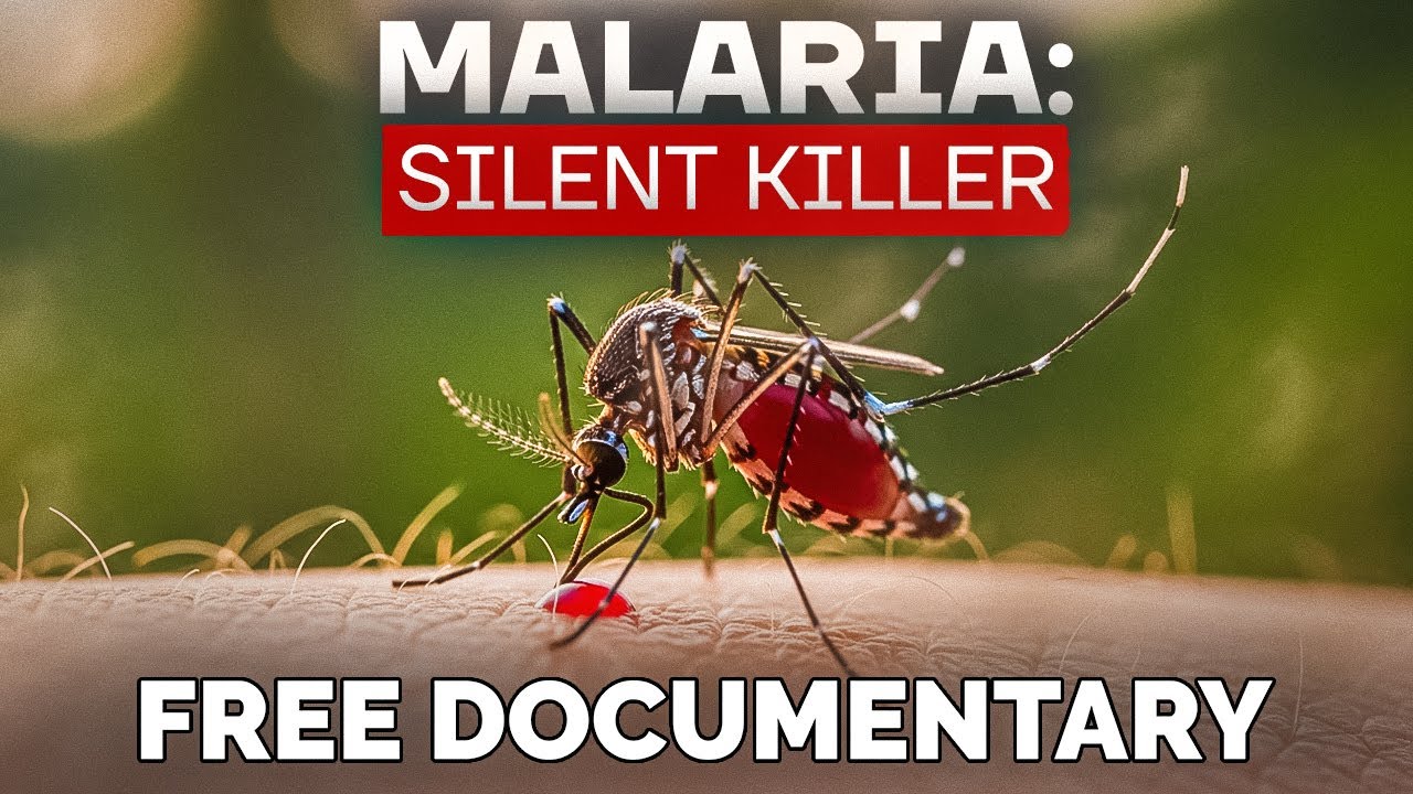 Malaria: The Silent Killer in the Tropics | Full Nature Documentary