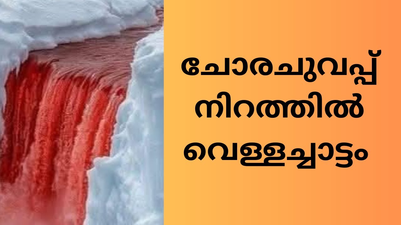 Interesting fact General Knowledge and general awareness vedio