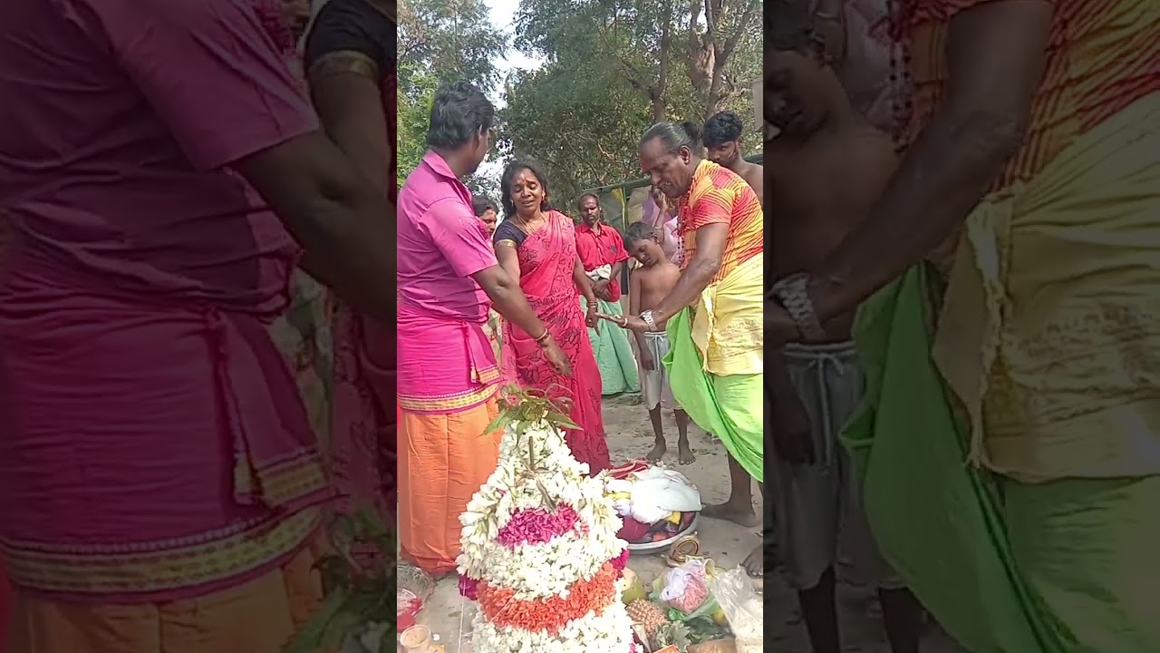 பூவாடைக்காரி பூஜை கலத்தப்பட்டு கிராமத்தில் சேட்டு பம்பை ஆசிரியர் 9677602616