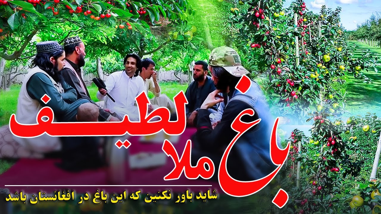 باغ ملا لطیف ، یکی از زیباترین باغ ها در ولایت لوگر و در افغانستان | Mullah Latif Garden in logar