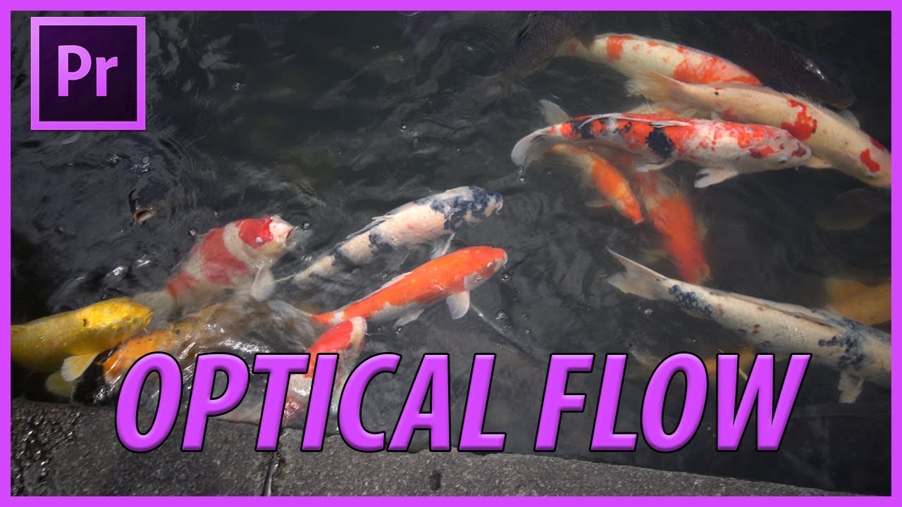 Как использовать Optical Flow в Adobe Premiere Pro CC 2019