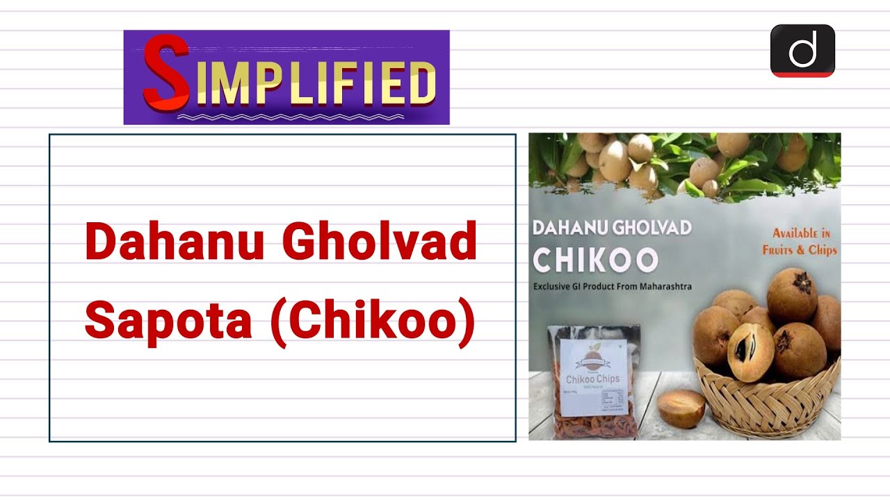Dahanu Gholvad Sapota (Chikoo): Simplified