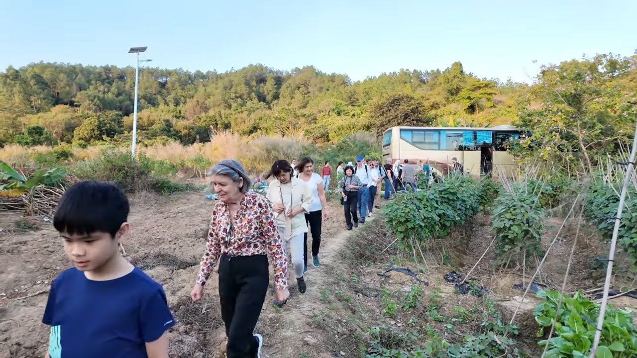 台山百曉：今日视频拍摄于台山市斗山镇眼镜村，黄亚福后裔从世界各地前往他的故乡祭祖，“根源”二字在黄氏家族中得到很好的传承，他们的祖先从19世纪已经过去南洋，一百多年的时光，他们依然保持与家乡的联系。