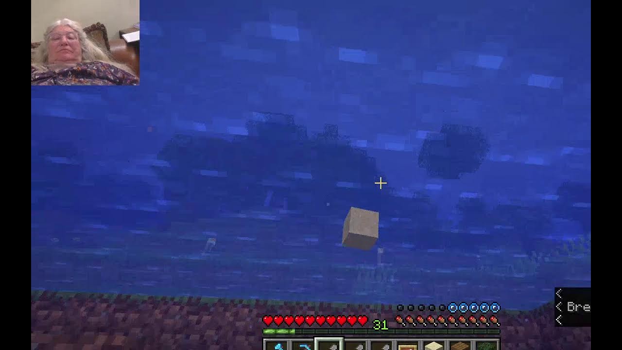 Quietly puttering at  Grandma's Minecraft Nancy Today ep 510