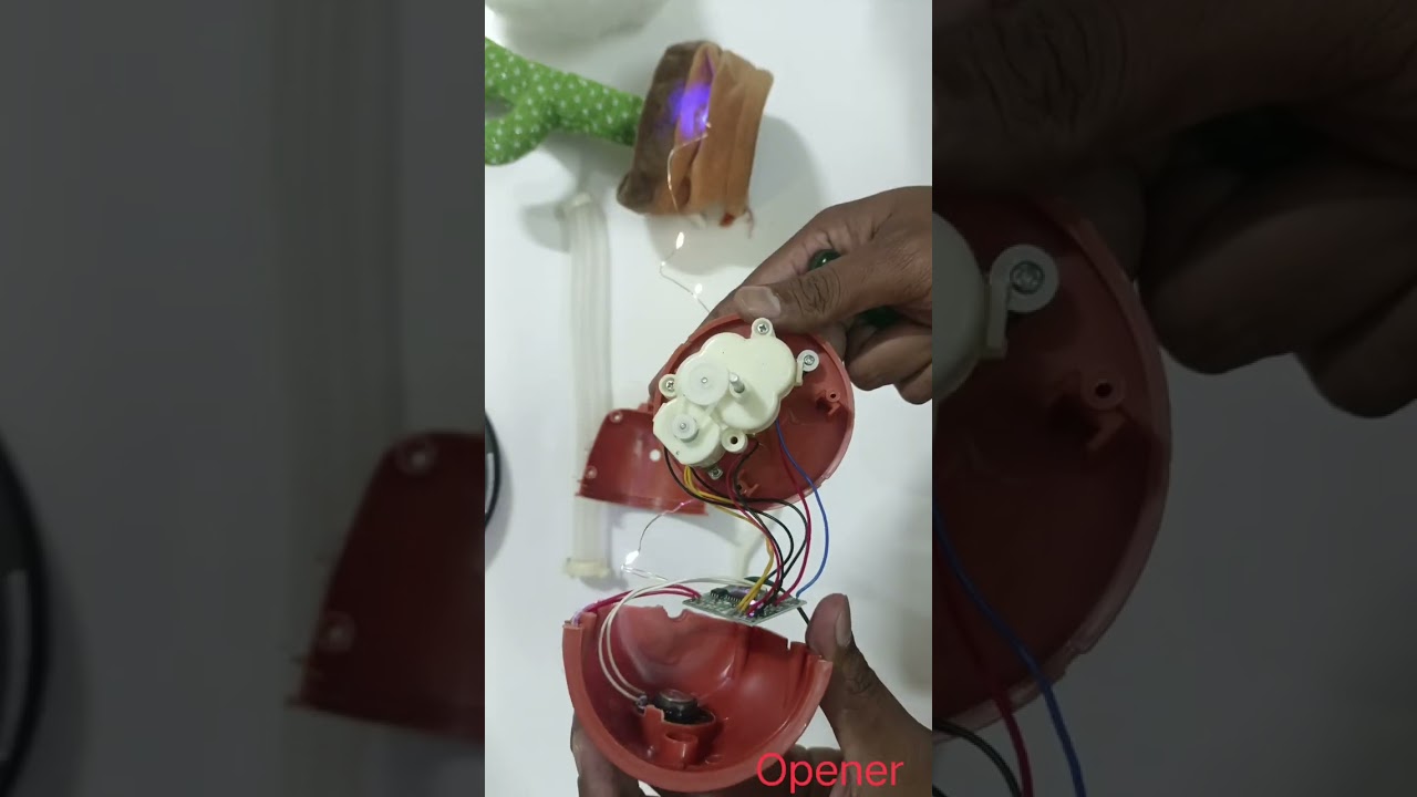 Whats inside of Cactus Toy #whatsinside #experiment #smartgaudget #opener #ilovegadgets 