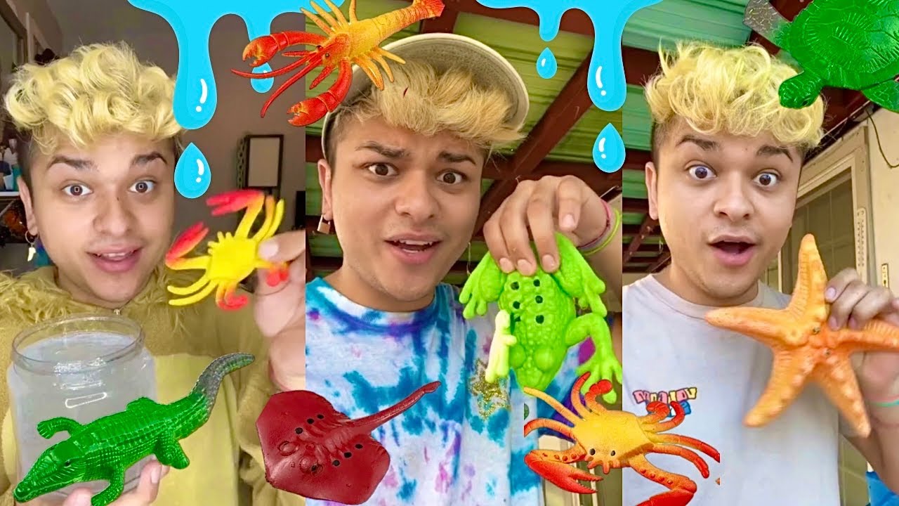 Игрушки для роста в водных шариках! (Вырастают до 600%) | ПОДБОРКА [Часть 2]