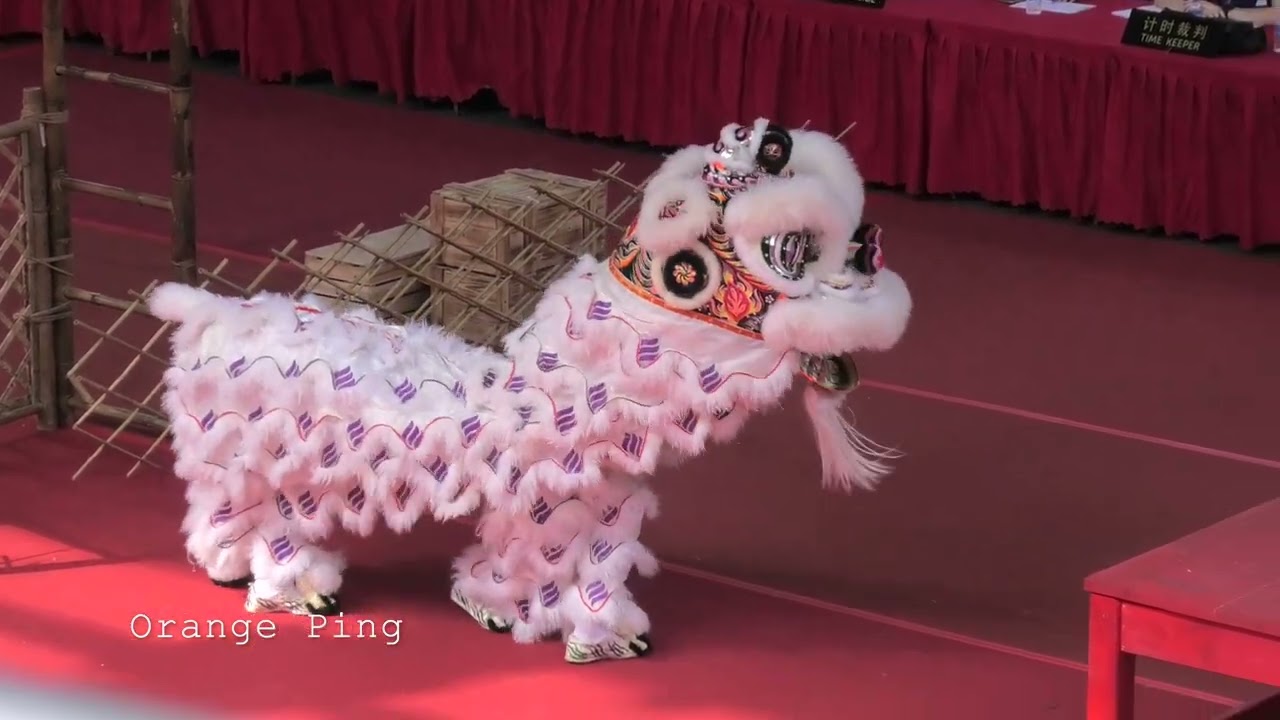 关忠坛龙狮研究院 Kuan Tiong Tuan Lion & Dragon Training Centre