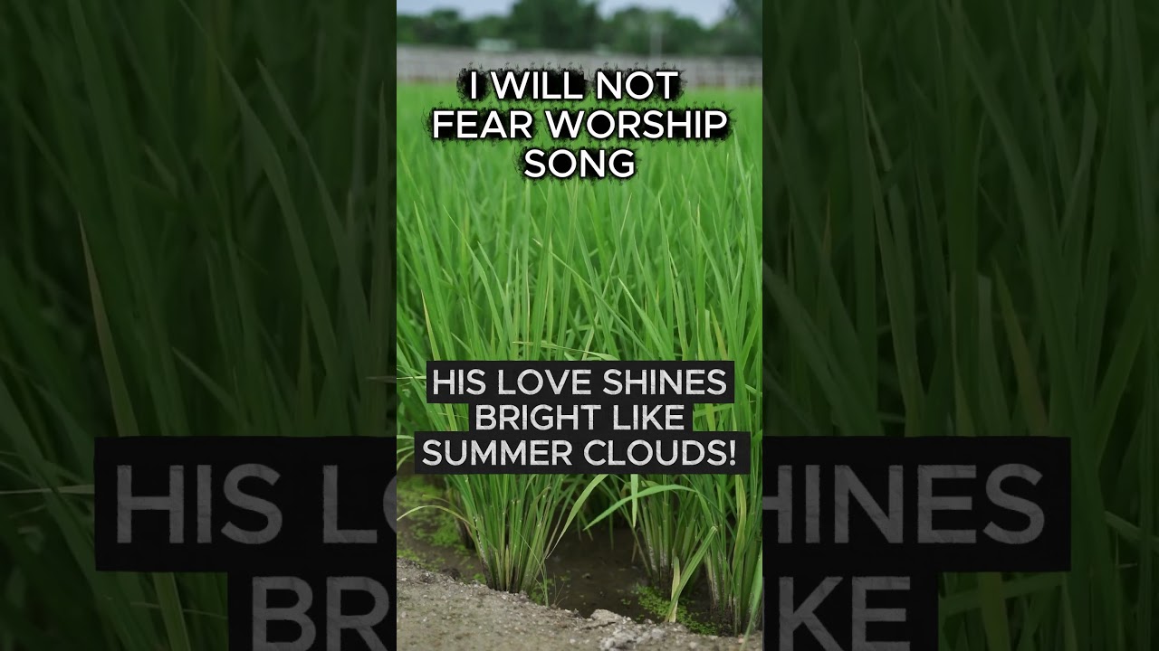 I Will Not Fear! Worship Song 