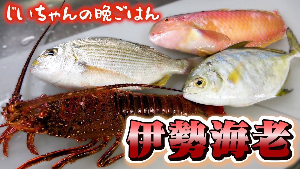 【爺ちゃんの晩御飯】伊勢海老を贅沢に煮付けにしたら美味しすぎた！