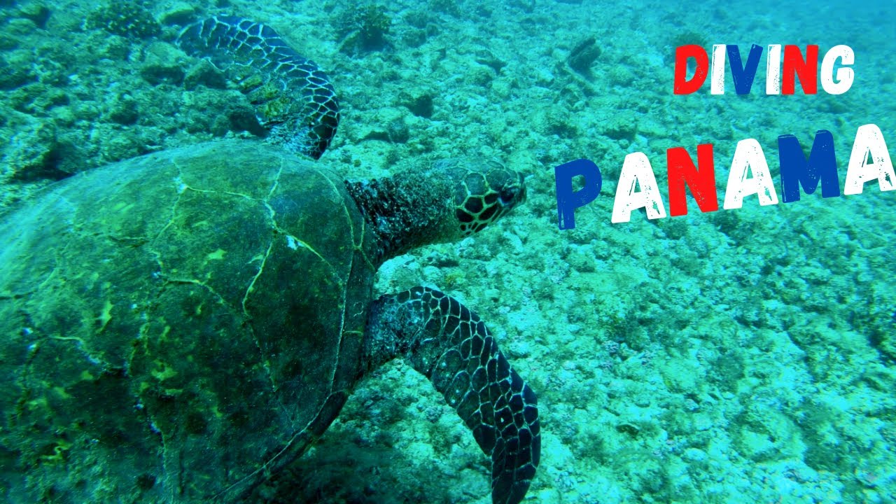 Diving in Panama - Coiba National Park