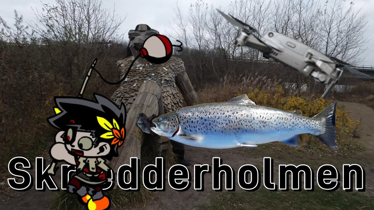 Skrædderholmen Motorvejs øen, Fiske venligt, Drone