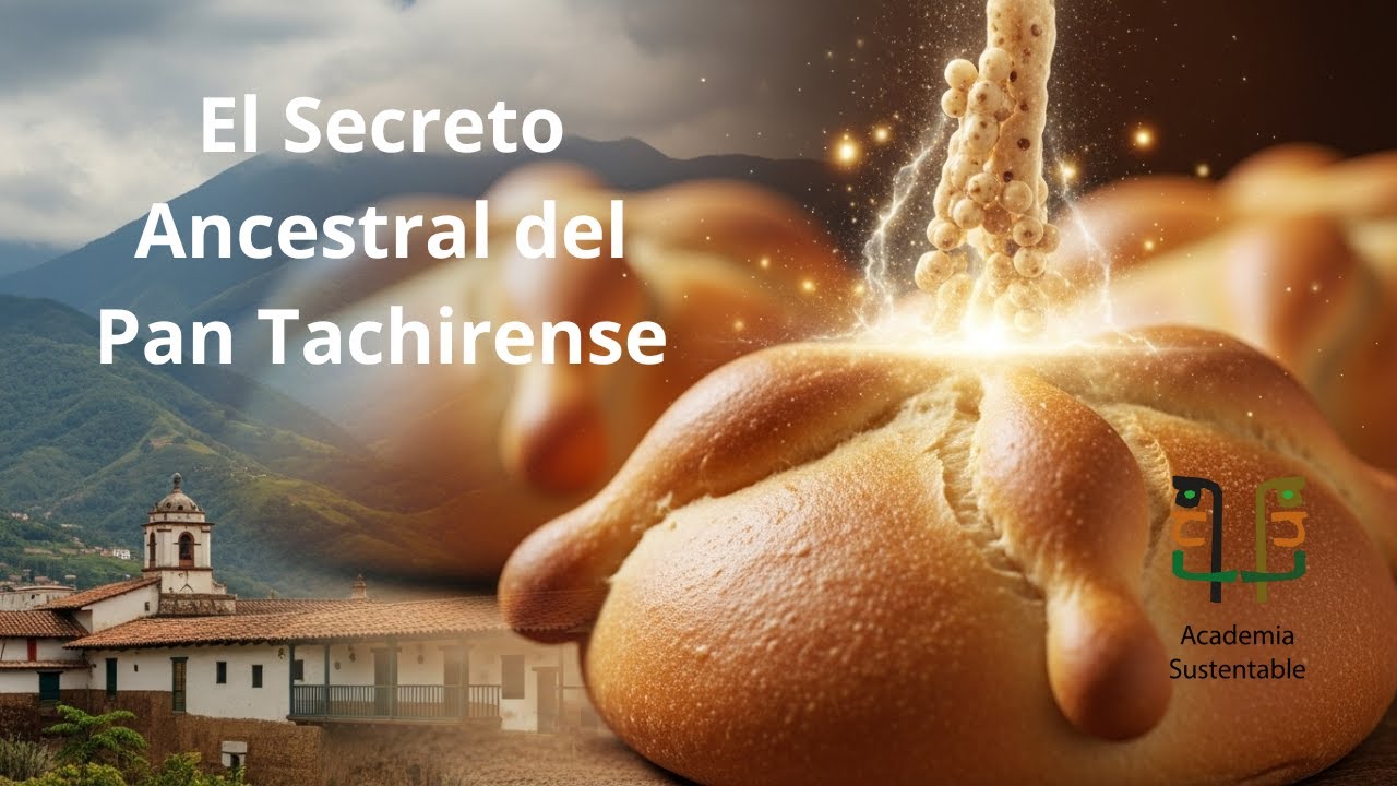 Talbina - El Secreto Ancestral del Pan Tachirense y Su Legado Cultural