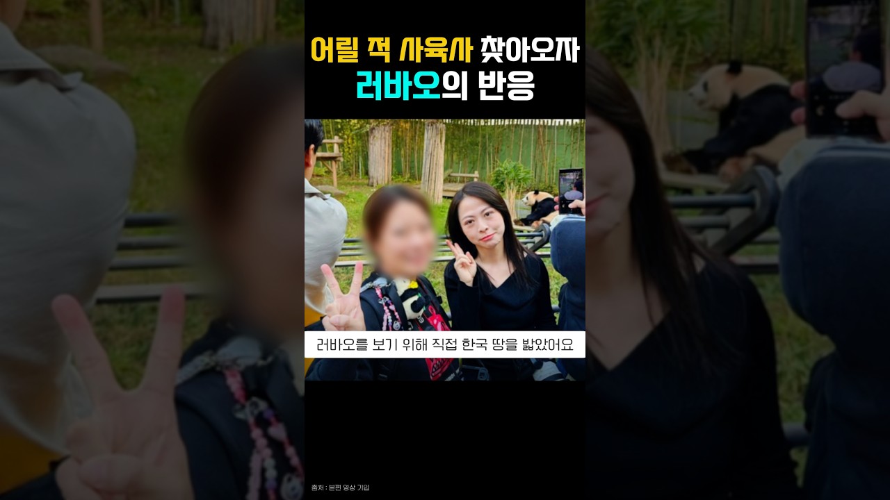 러바오 다시 만나러 온 중국 유랑 사육사 #shorts #러바오 #판다