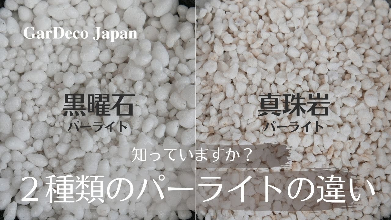 【知っていますか？】２種類のパーライトの違いと使い方【土壌改良資材】