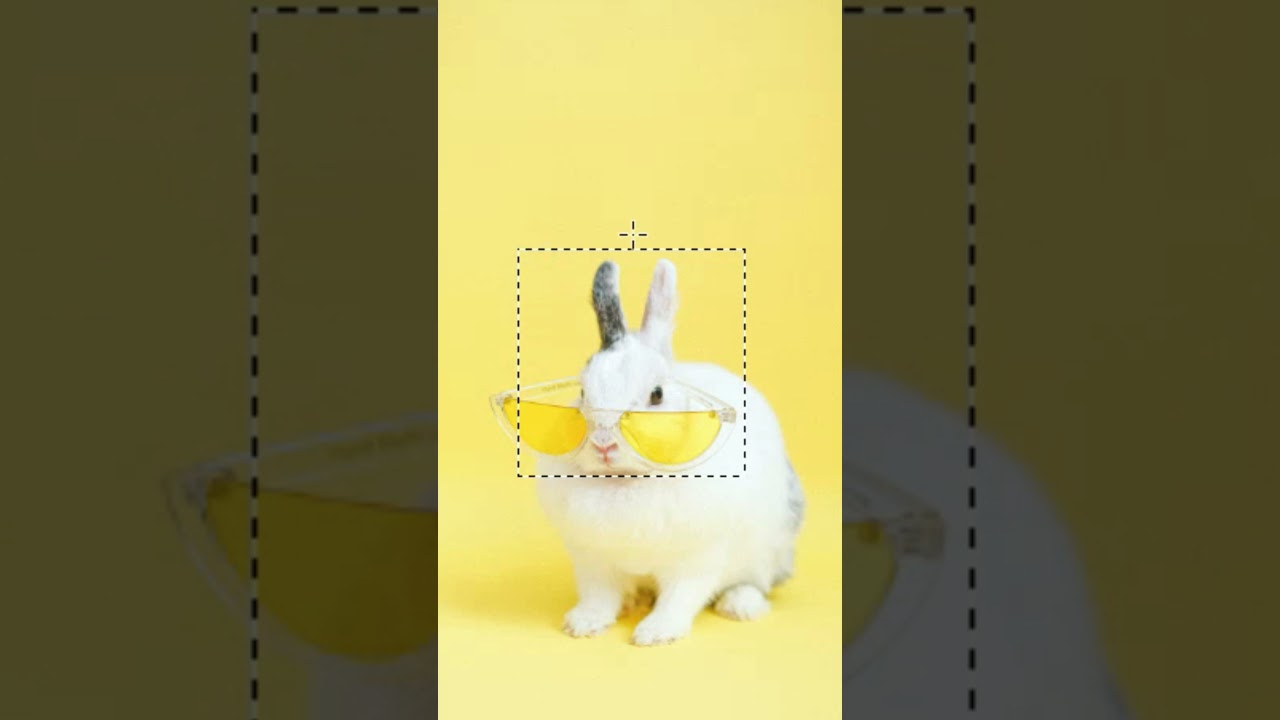 How to use rectangular marquee tool for copy
