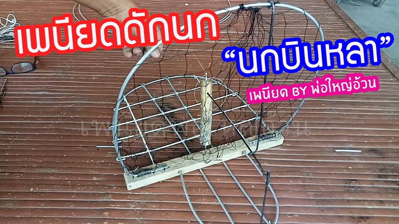 เพนียดดักนกบินหลา (สนใจติดต่อ 084-321-1954)