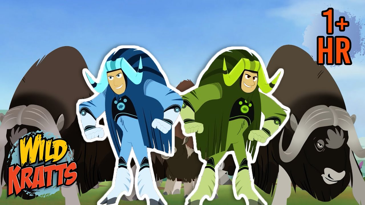 The Muskox Protective Circle | Wolf Attack | New Compilation | Wild Kratts