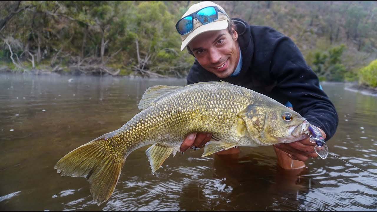 TOPWATER BIG Bass walking the river