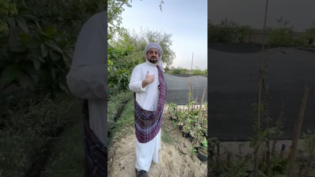 طبخة ببهار الكاري من الطبيعة | الشيف يوسف الحريري