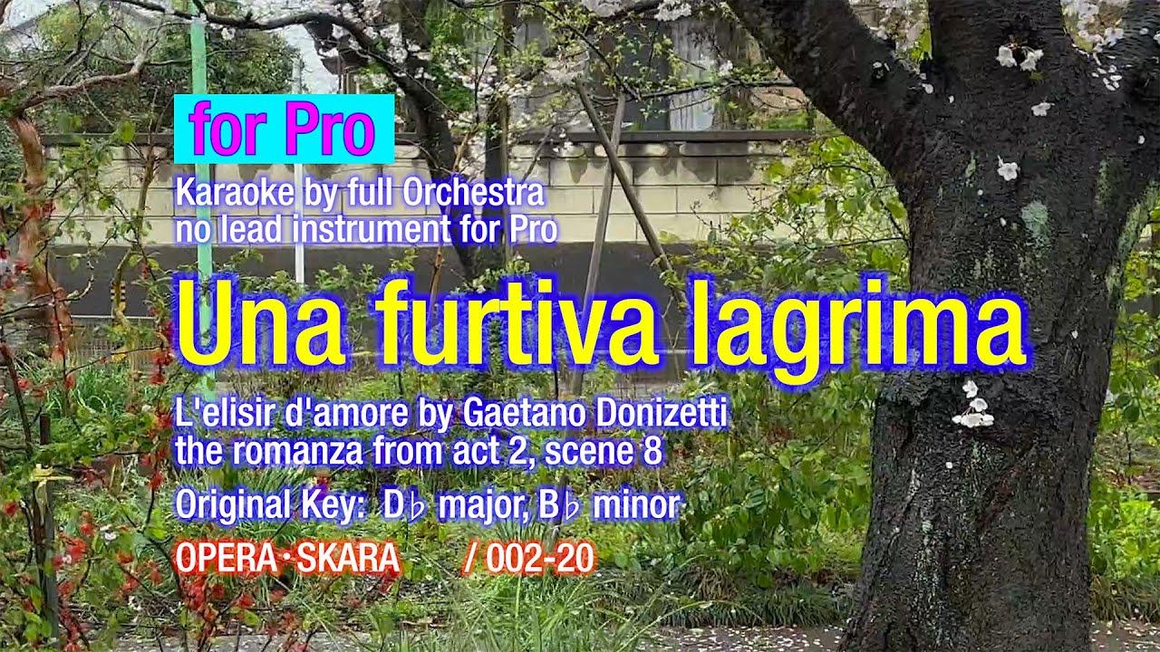 Donizetti Una Furtiva Lagrima Karaoke with full Orchestra, no lead for Pro