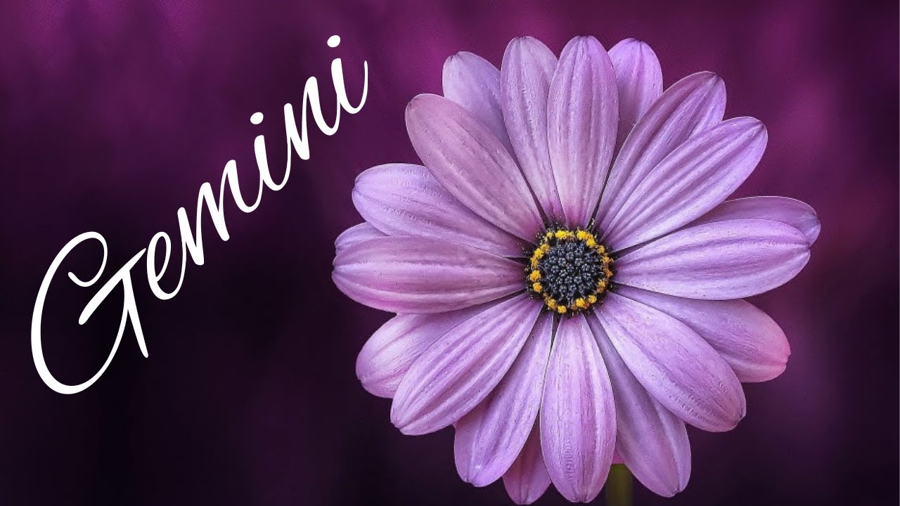 Gemini BONUS🤍 Finally! A Perfect Match! The Wait Is Over🤍Singles/New Love