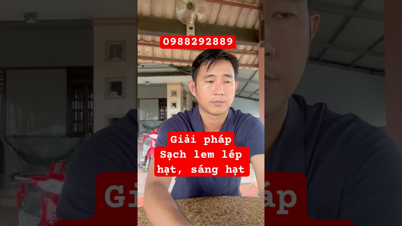 Folicur 430SC. Quản l&yacute; lem l&eacute;p hạt, kh&ocirc; vằn, gi&uacute;p l&uacute;a s&aacute;ng hạt