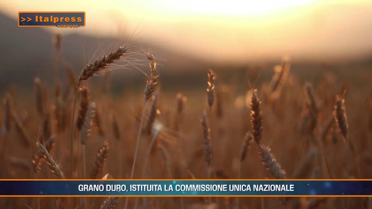 Agrifood Magazine - 24 Gennaio 2026