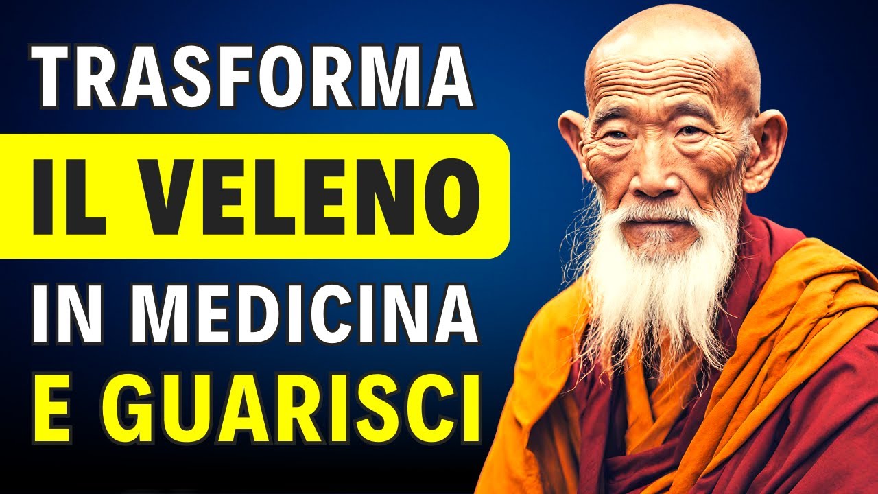 Come Trasformare il Veleno in Medicina | Il Potere dell’Autoguarigione | Storia Zen