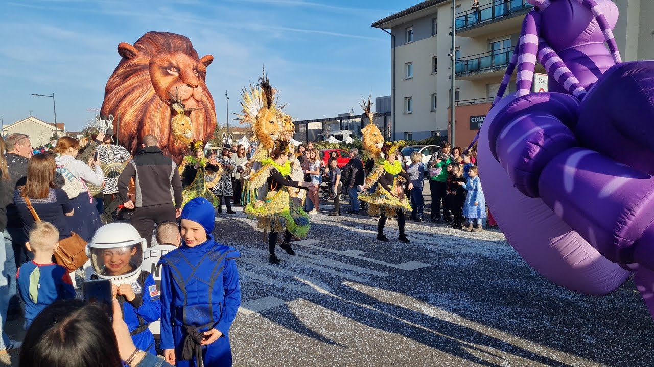 Défilé du Carnaval 2025 - Florange (57)